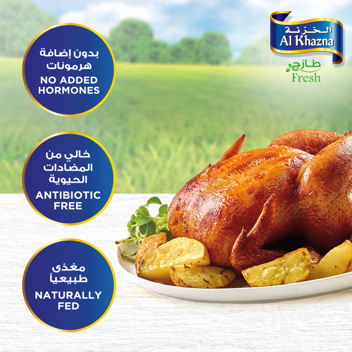 Al Khazna Fresh Whole Chicken 1.2 kg
