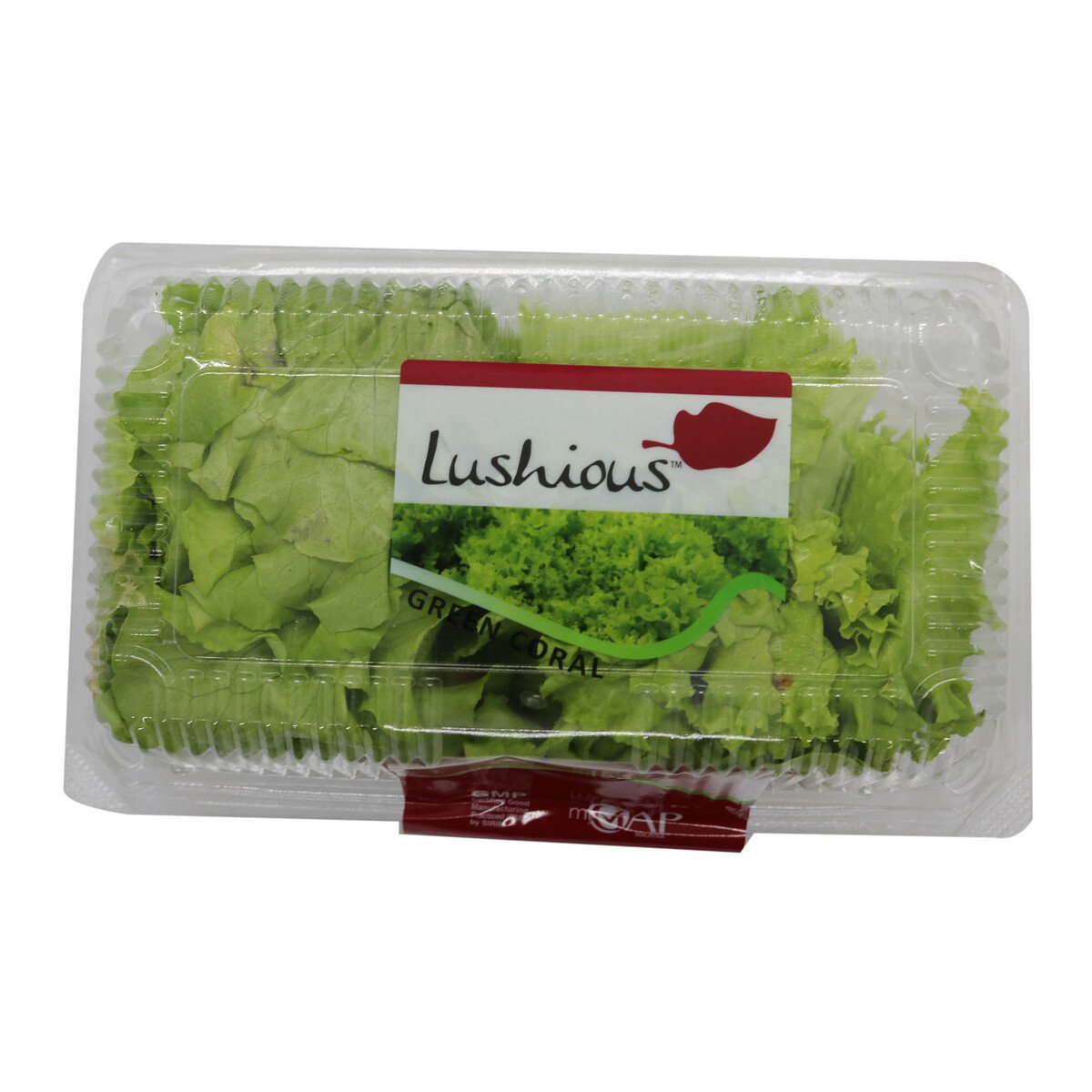 Lushious Lettuce Green Coral 150g Approx. Weight