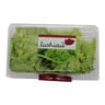 Lushious Lettuce Green Coral 150g Approx. Weight