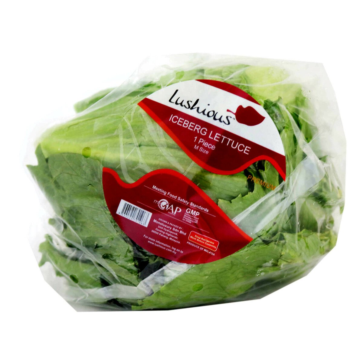 Lushious Lettuce Iceberg 1Pcs