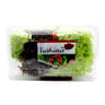 Lushious Salad Mix 250g Approx. Weight