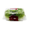 Lushious Lettuce Oakleaf Green 150g Approx. Weight