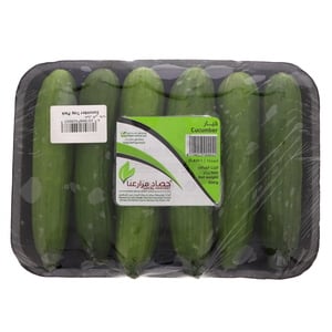 Cucumber Tray Pack 500 g