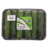 Cucumber Tray Pack 500g