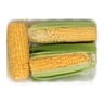 Sweet Corn 1pkt