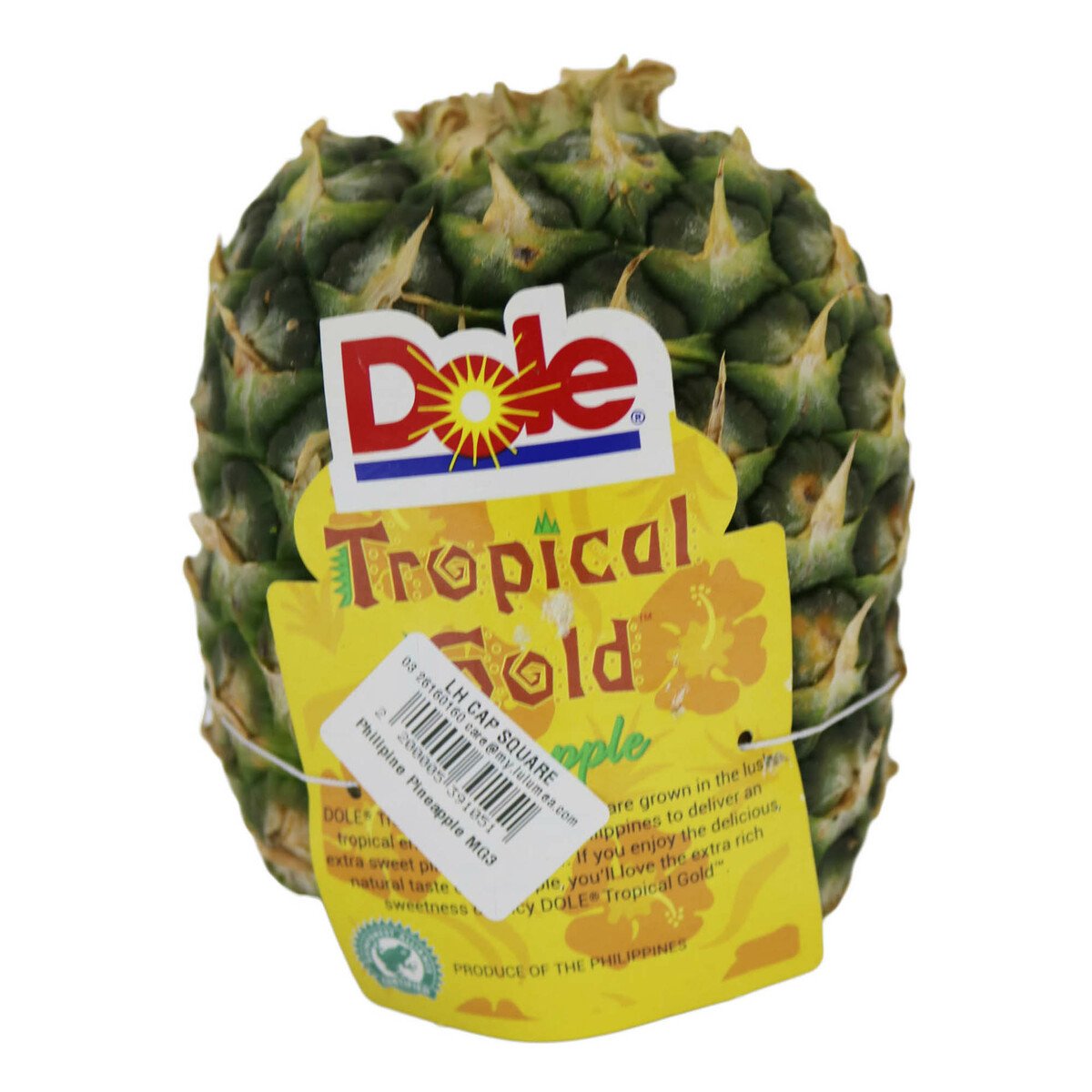 Dole Philipine Pineapple MG3 1Pcs