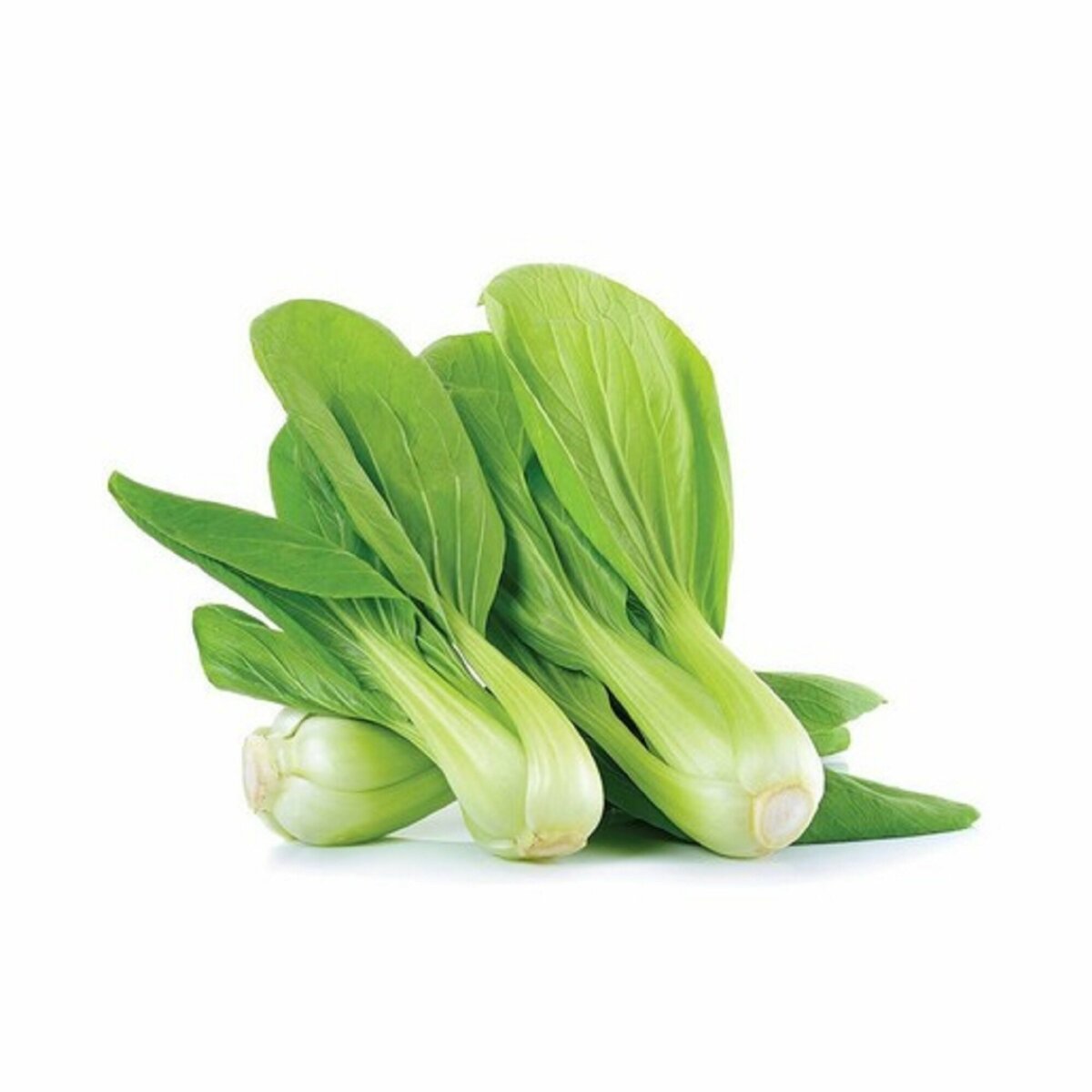 Buy Fresh Paksoy Leaves 500g Online at Best Price | Lettuce | Lulu KSA in Saudi Arabia