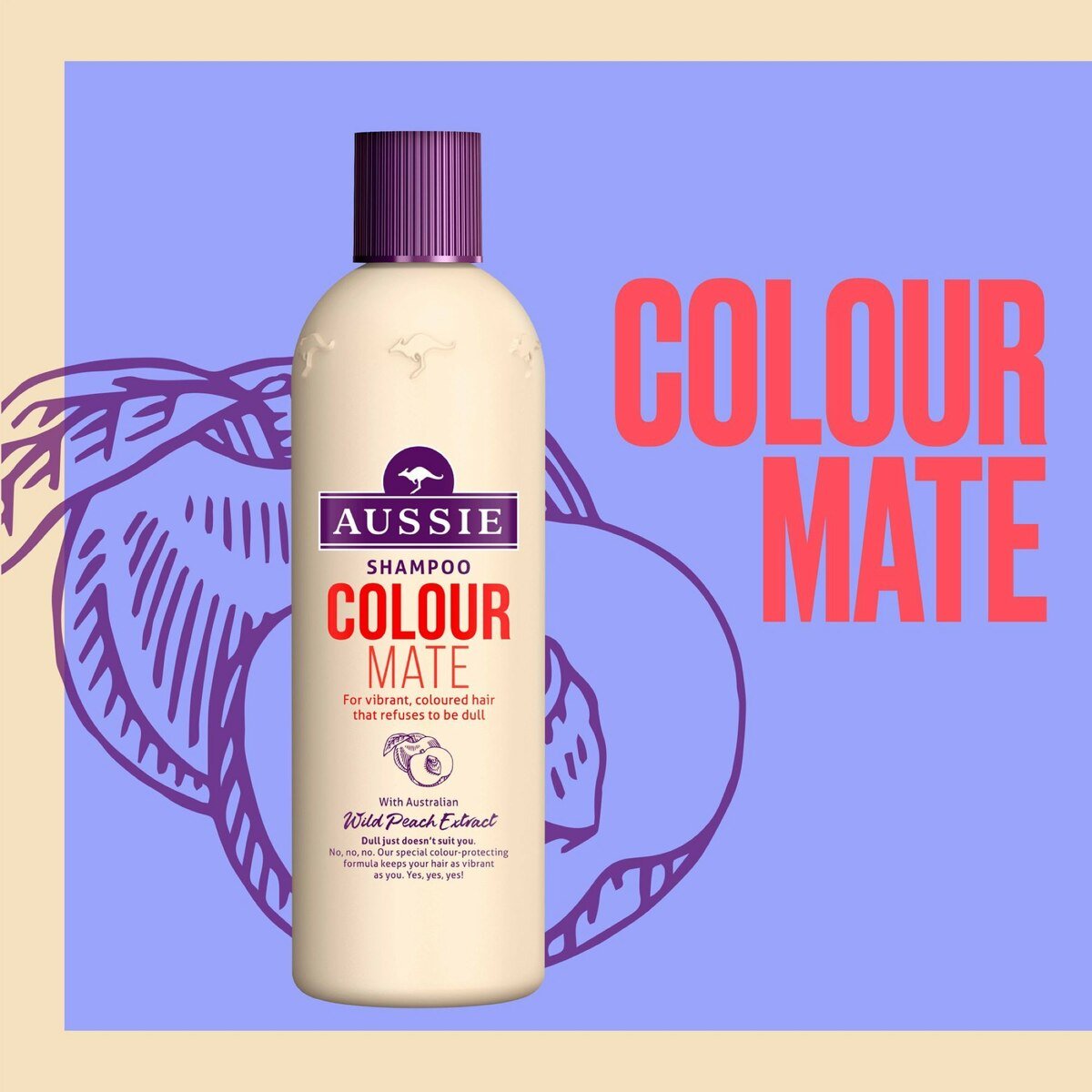 Aussie Colour Mate Shampoo, For Vibrant, Coloured Hair 300 ml