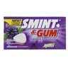 Smint & Gum Blackberry Sugar Free 13.9 g