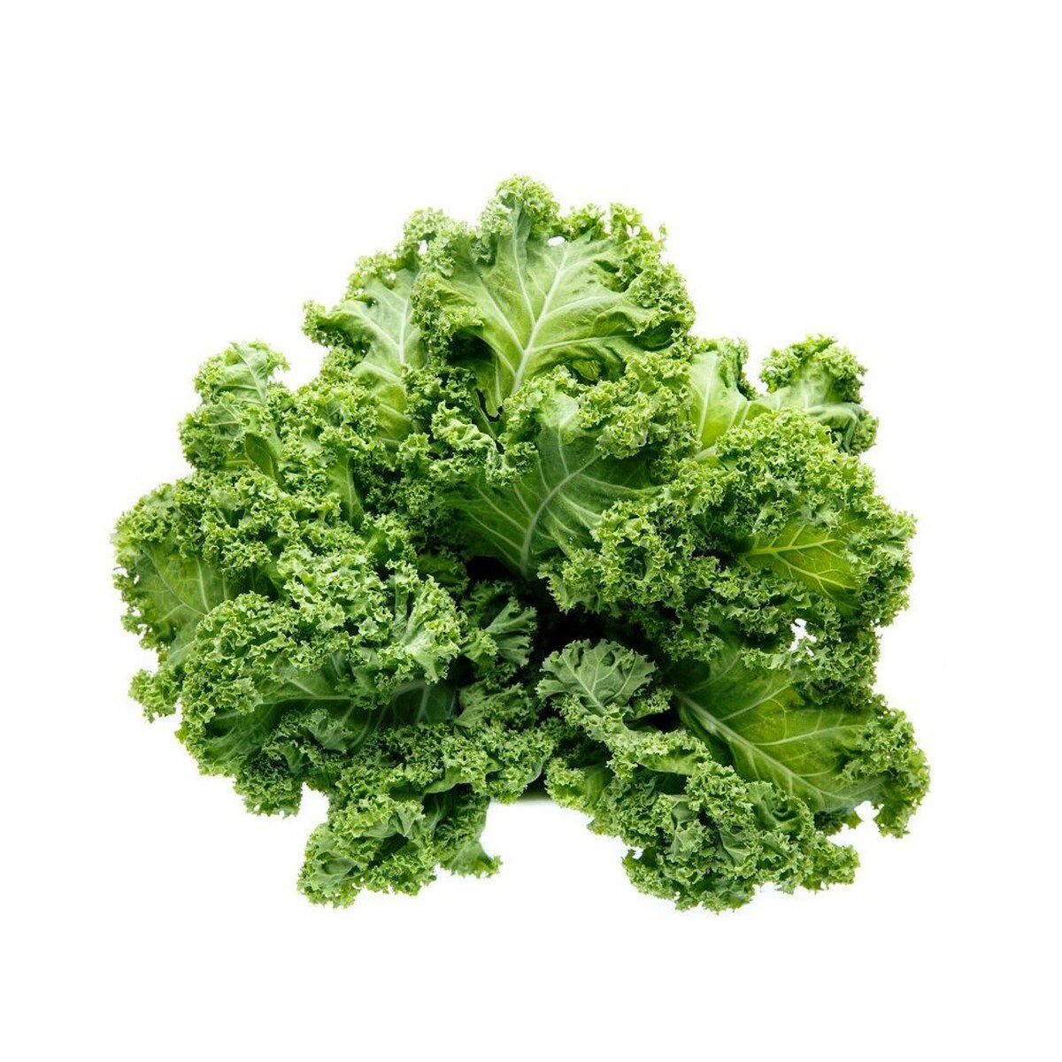 Organic Kale 1pkt