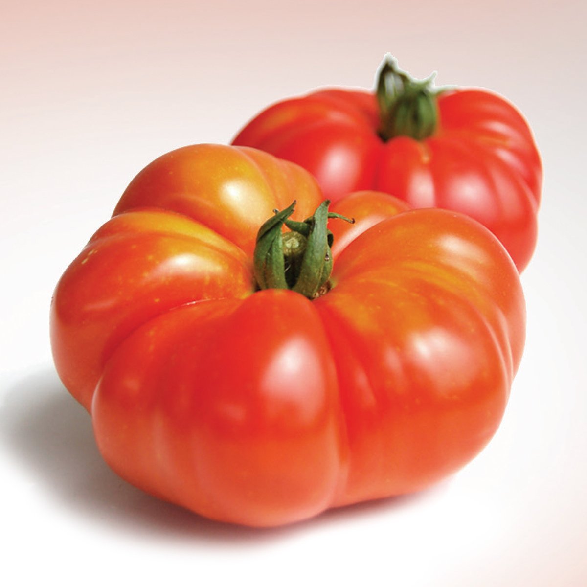 Organic Tomato Beef 1 pkt