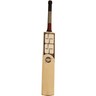 SS Cricket Bat Gutsy 10010033