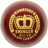 SS Cricket Ball Swinger 10030019
