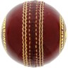 SS Cricket Ball Swinger 10030019