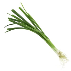Spring Onion Leaves 1Bunch