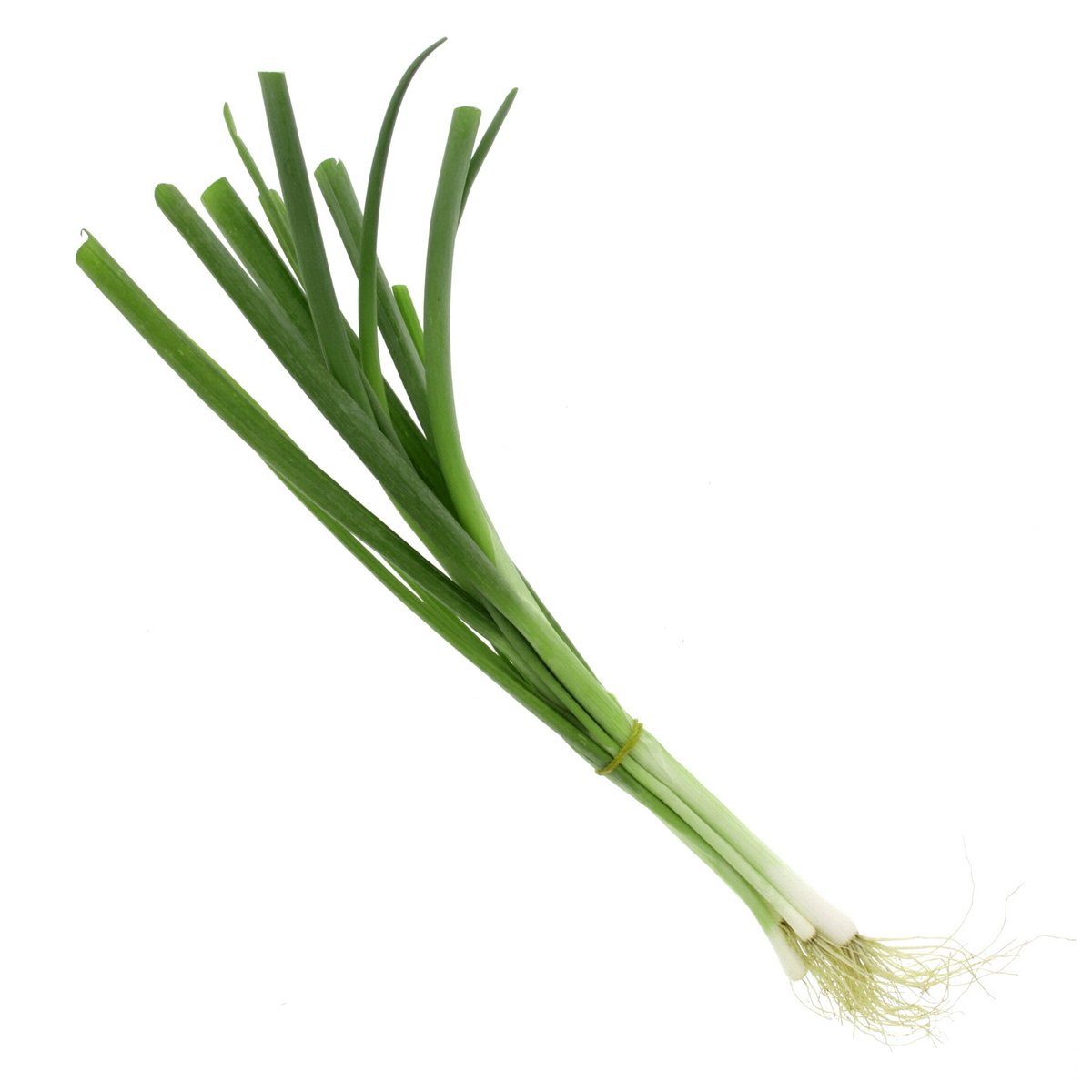 Spring Onion Leaves 1Bunch