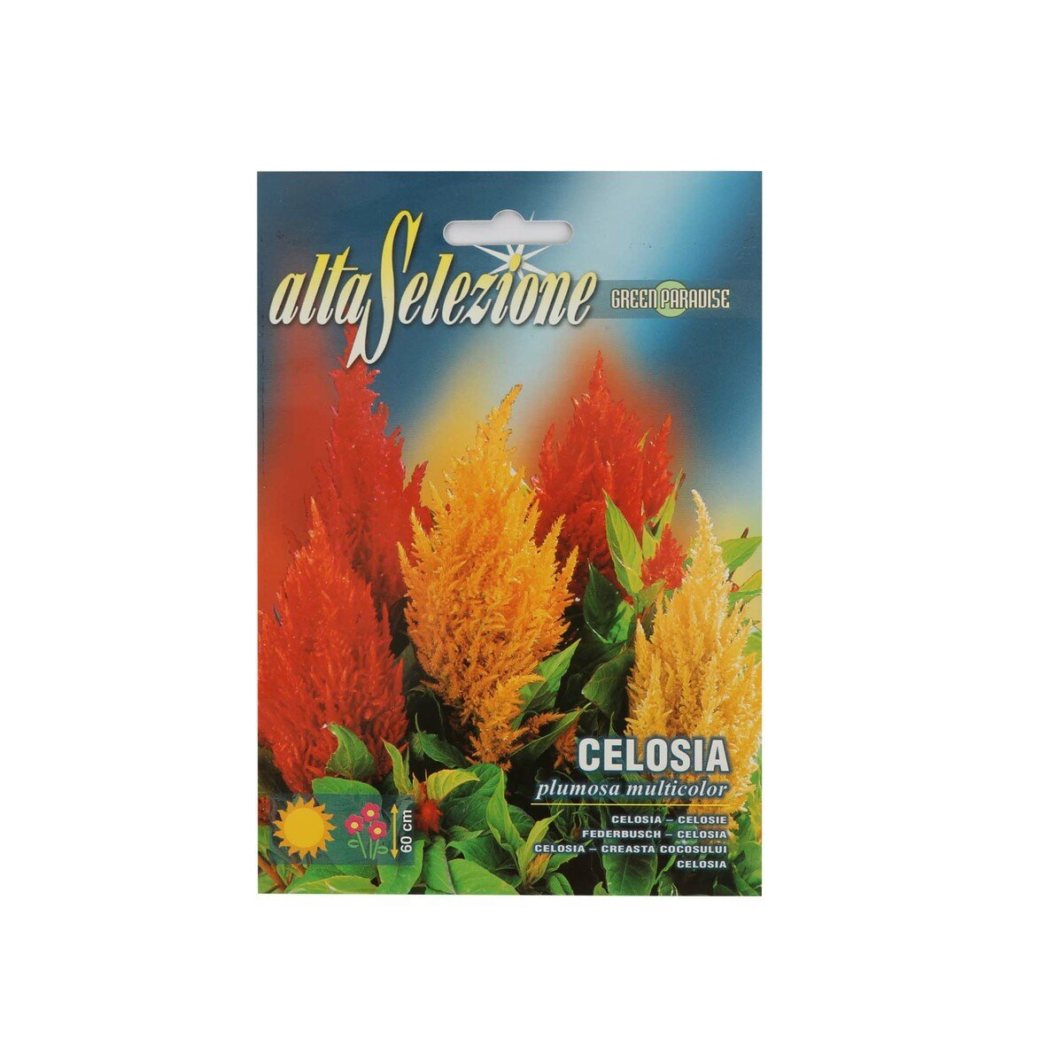 Alta Tall Celosia Mixed Seeds-312/2