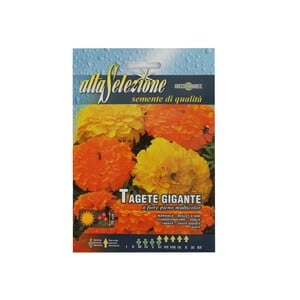 Alta Giant Marigold Mixed Seeds