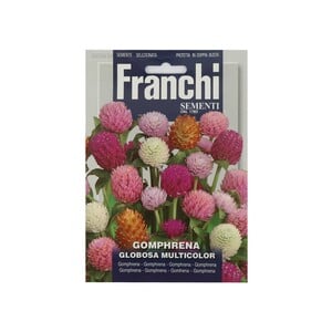 Franchi Gomphrena Mixed Seeds 330/50-DF