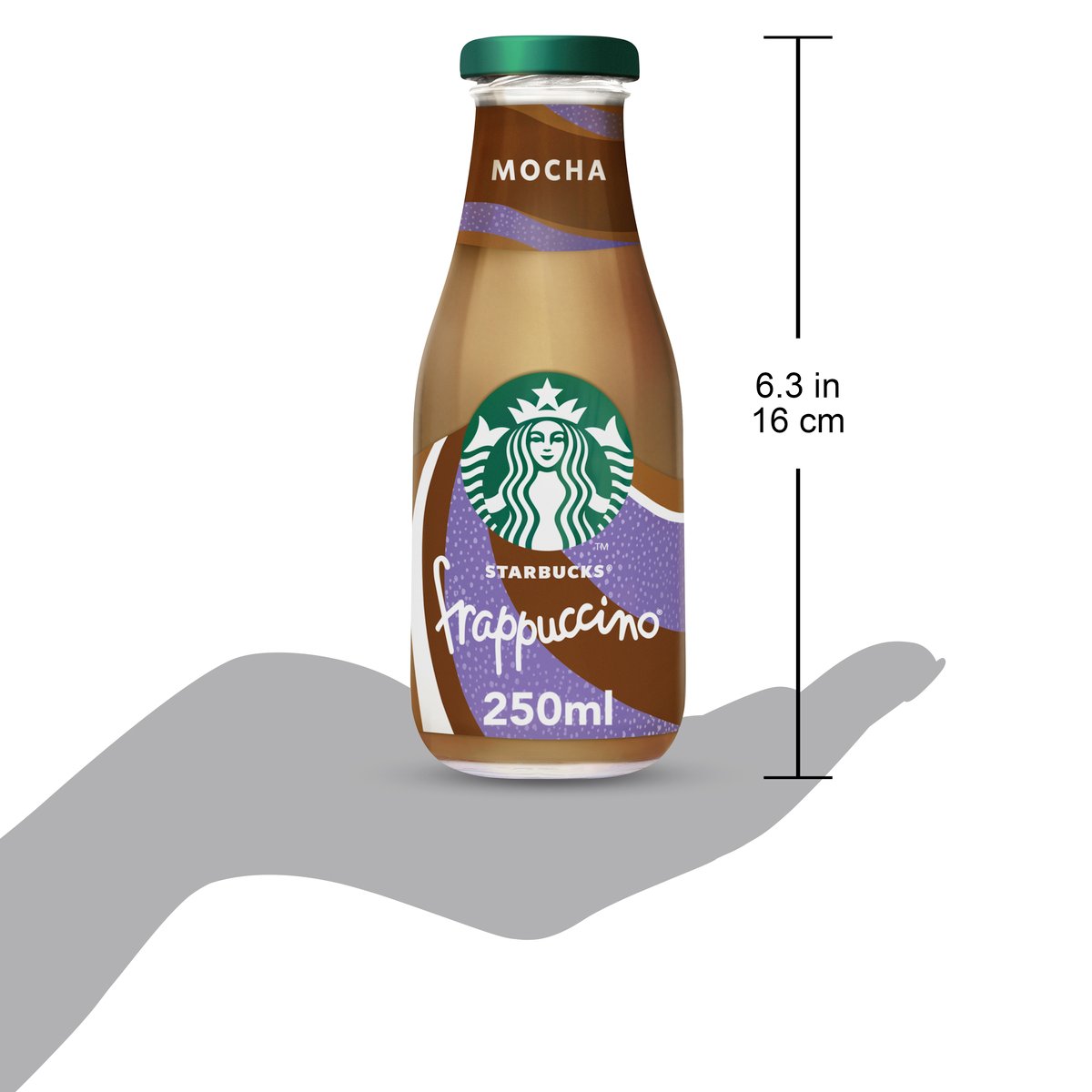 Starbucks Frappuccino Mocha Chocolate Coffee Drink 250 ml