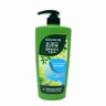 Follow Me Green Tea Shampoo Anti Dandruff 650ml