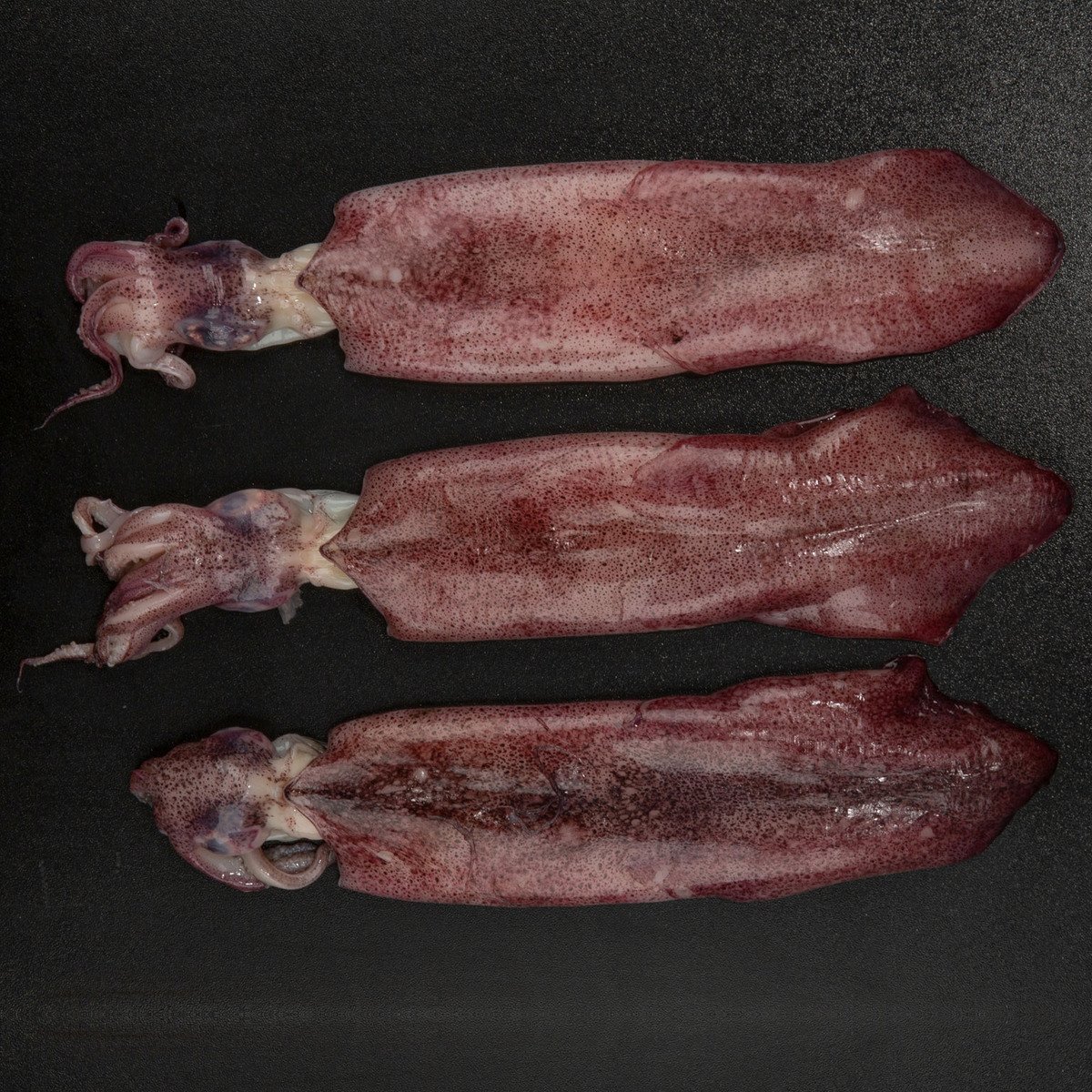 Defrosted Squid Large 500 g