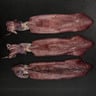 Defrosted Squid Large 500 g