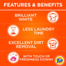 Tide Powder Laundry Detergent With Essence of Downy 4.5kg