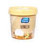 Dandy Vanilla Ice Cream 1Litre