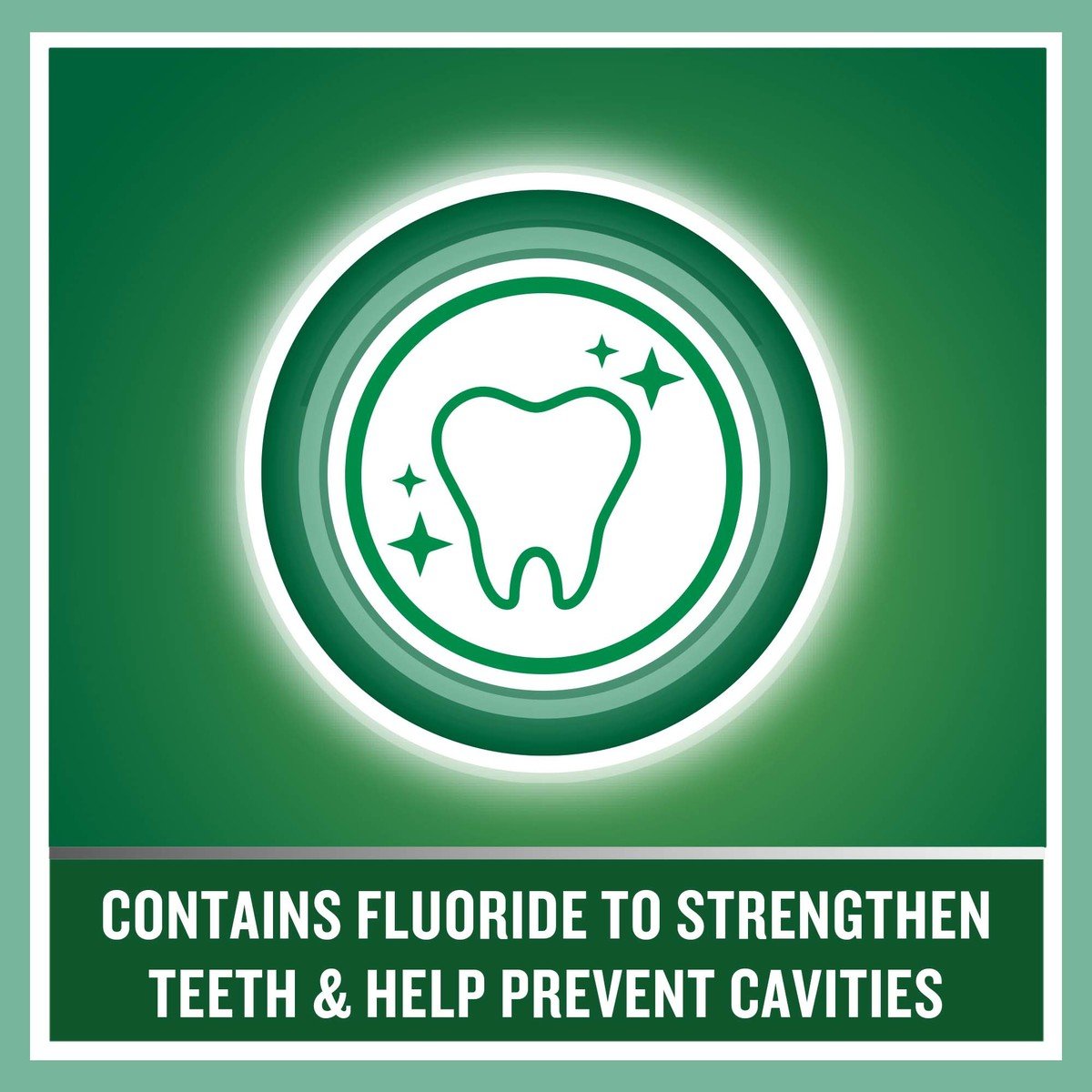 Listerine Mouthwash Teeth & Gum Defence Milder Taste Soft Mint 500ml