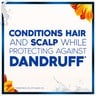 Head & Shoulders Anti-Hairfall Conditioner 360ml