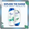 Head & Shoulders Itchy Scalp Care Conditioner With Eucalyptus 360ml