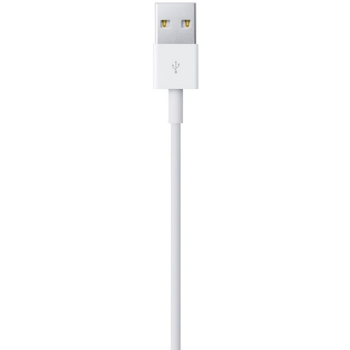 Apple Lightning To USB Cable MD818