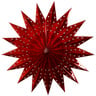 Red Rose Xmas Star Assorted