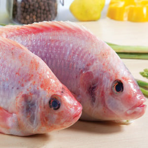 Fresh Red Tilapia Big Whole Cleaned 1 kg