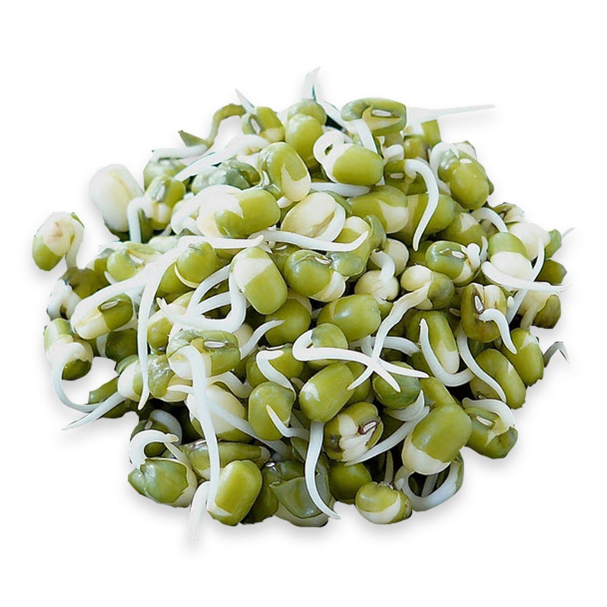 Mung Beans Sprout UAE 250g