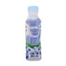 Cimory Yogurt Drink Low Fat Blueberry 250ml