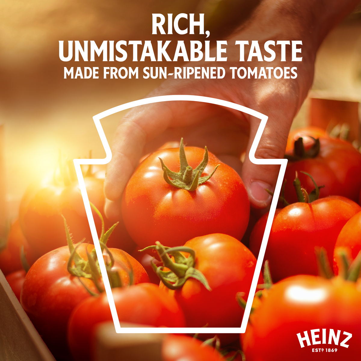 هينز كاتشب الطماطم ١.٠٧ كجم