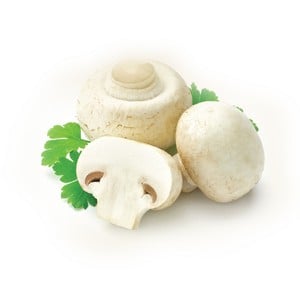 Organic Mushroom 1 Pack