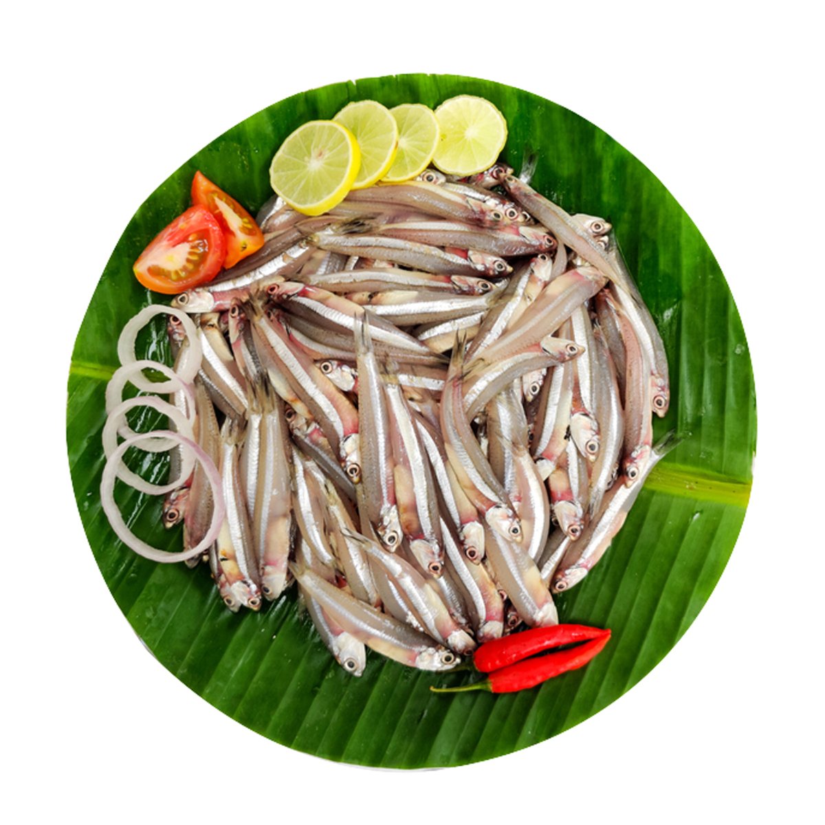 Anchovies Fish Small 200g Approx Weight