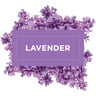 Mr. Muscle Multi Purpose Cleaner Lavender, 1 Litre