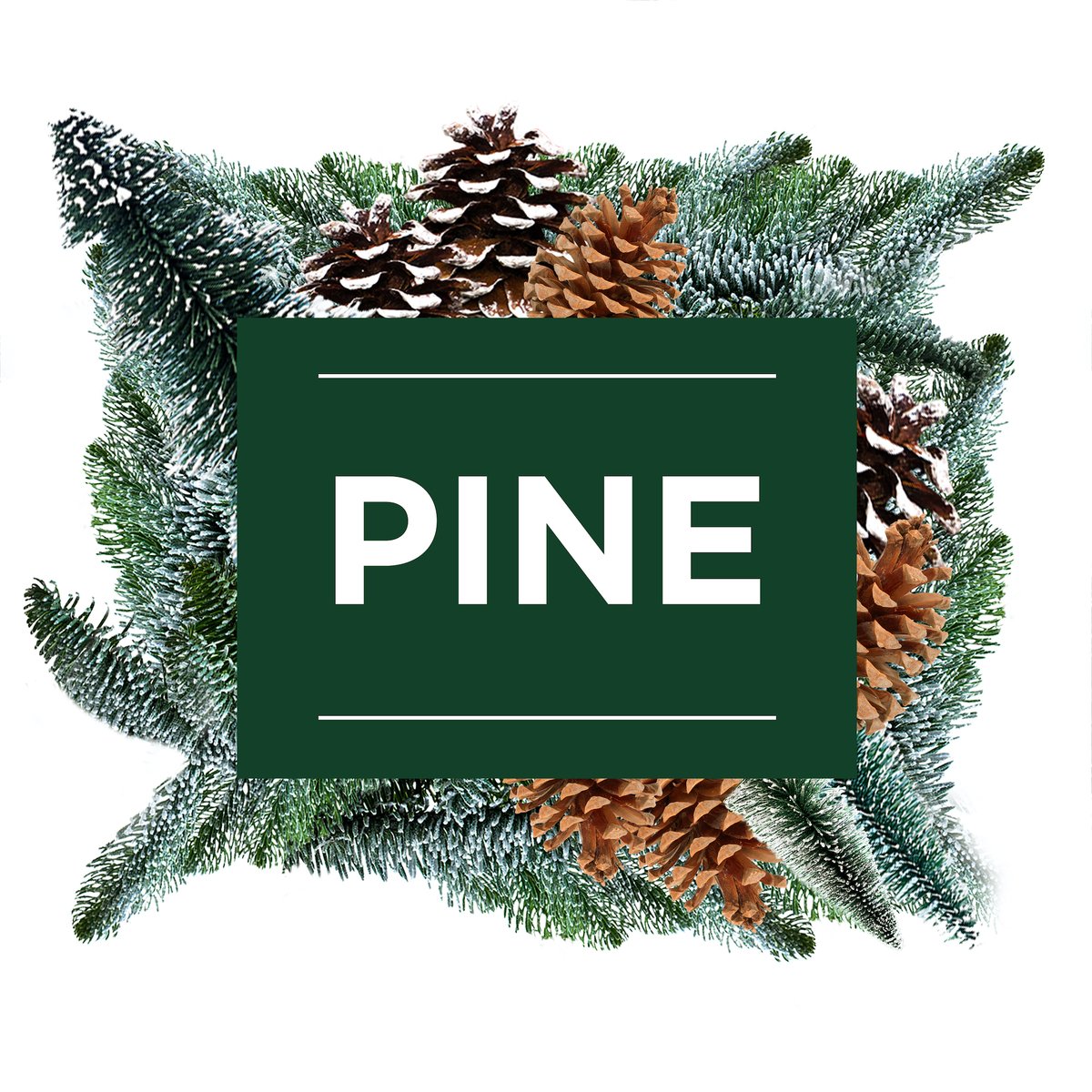 Mr. Muscle Multi Purpose Cleaner Pine, 1 Litre