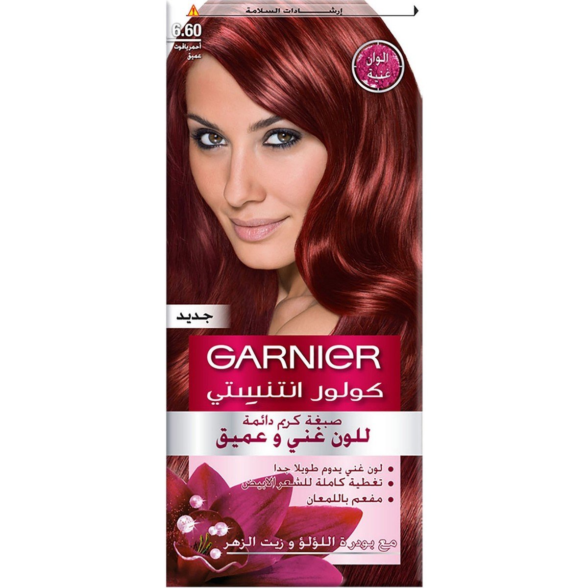 Garnier Color Intensity 6.60 Intense Ruby 1 pkt