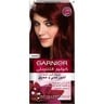 Garnier Color Intensity 4.60 Intense Dark Red 1 pkt