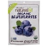 Nature's All Organic Blueberries 34 g