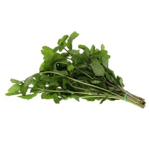 Mint Leaves 1 Bunch