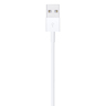 Apple Lightning to USB Cable (1 m) MXLY2ZE 1Meter