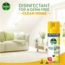 Dettol All In One Citrus Antibacterial Disinfectant Spray, 170 ml