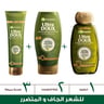 Garnier Ultra Doux Mythic Olive Oil Replacement 300 ml
