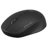 Meetion Wireless Mouse R570 Black